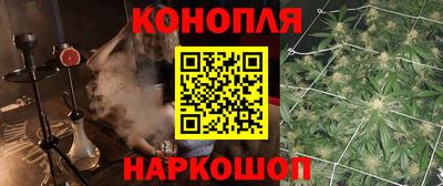 apvp Севастополь
