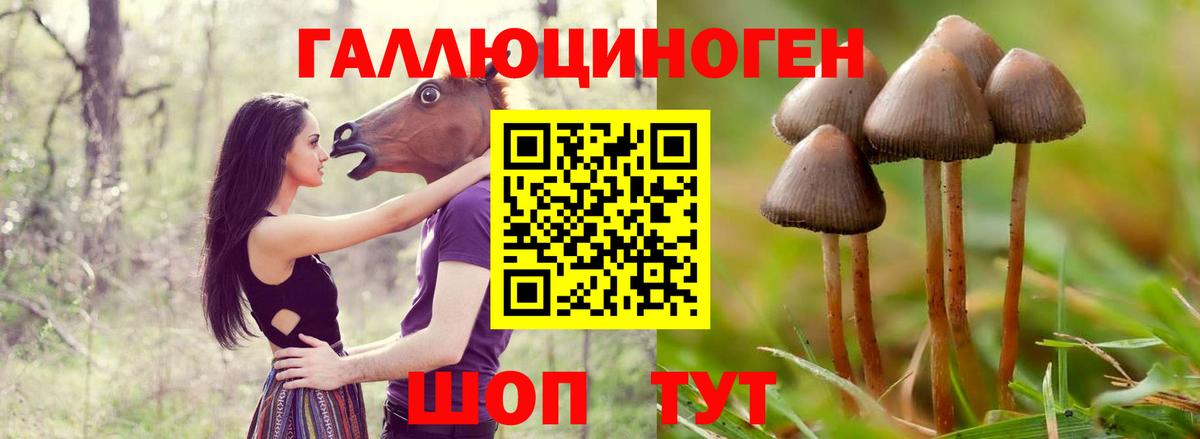 Галлюциногенные грибы ЛСД Асбест